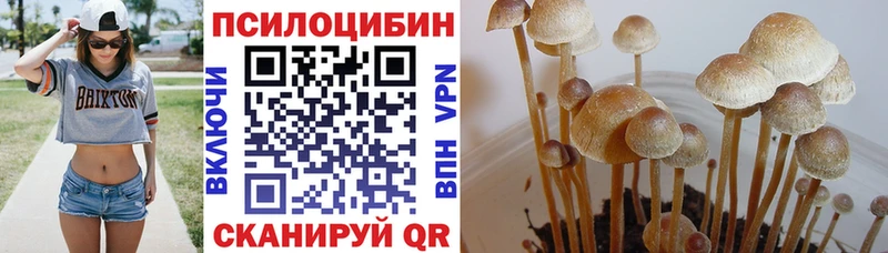 Псилоцибиновые грибы Psilocybe  наркотики  Ярцево 